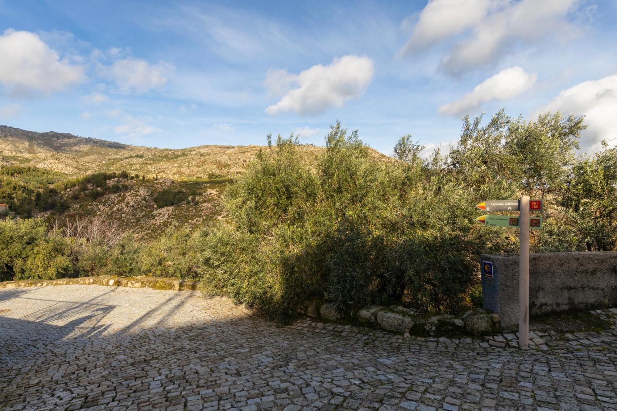 Remodeled Historical In The Center Apartment Fundao